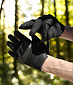 Перчатки Mechanix M-Pact 3 Ultimate Impact Protection black