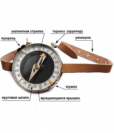 Компас Адрианова