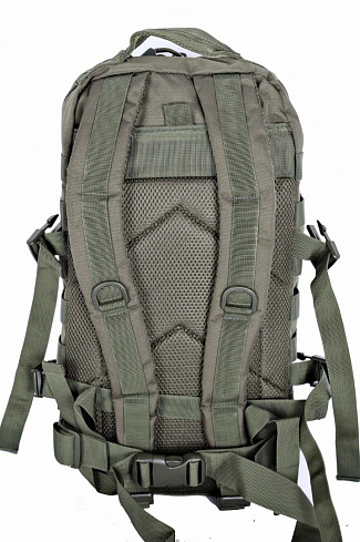 Рюкзак "Assault I" Tactical Pro, 20л, olive