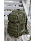 Рюкзак "Assault I" Tactical Pro, 20л, olive