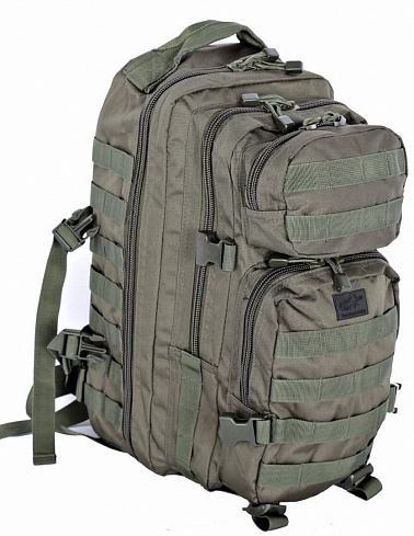 Рюкзак "Assault I" Tactical Pro, 20л, olive